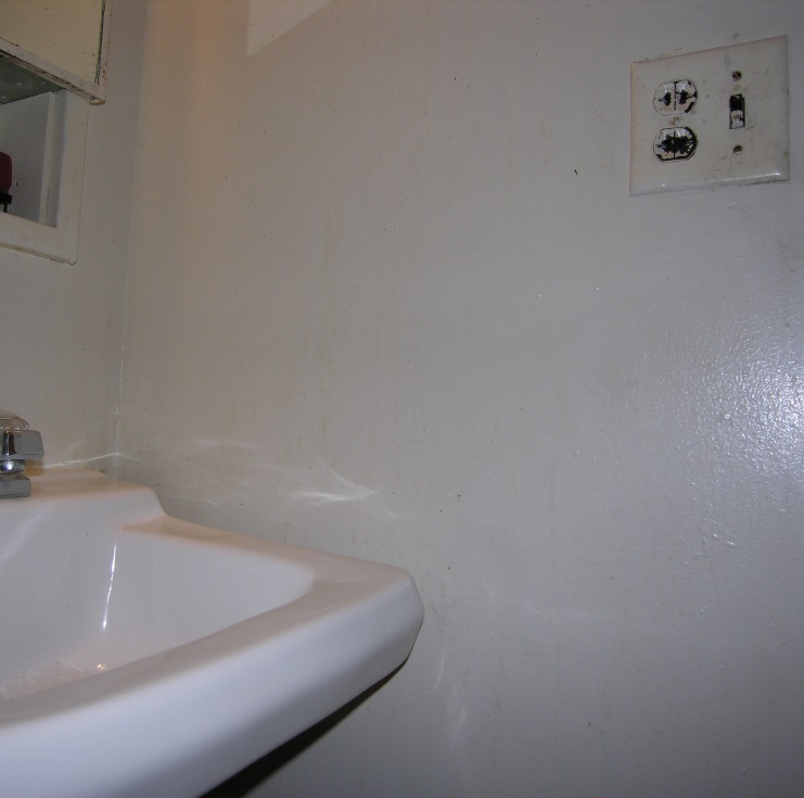 painted, 
	2-prong non GFCI bath receptacle